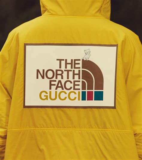 north face gucci|gucci north face collaboration.